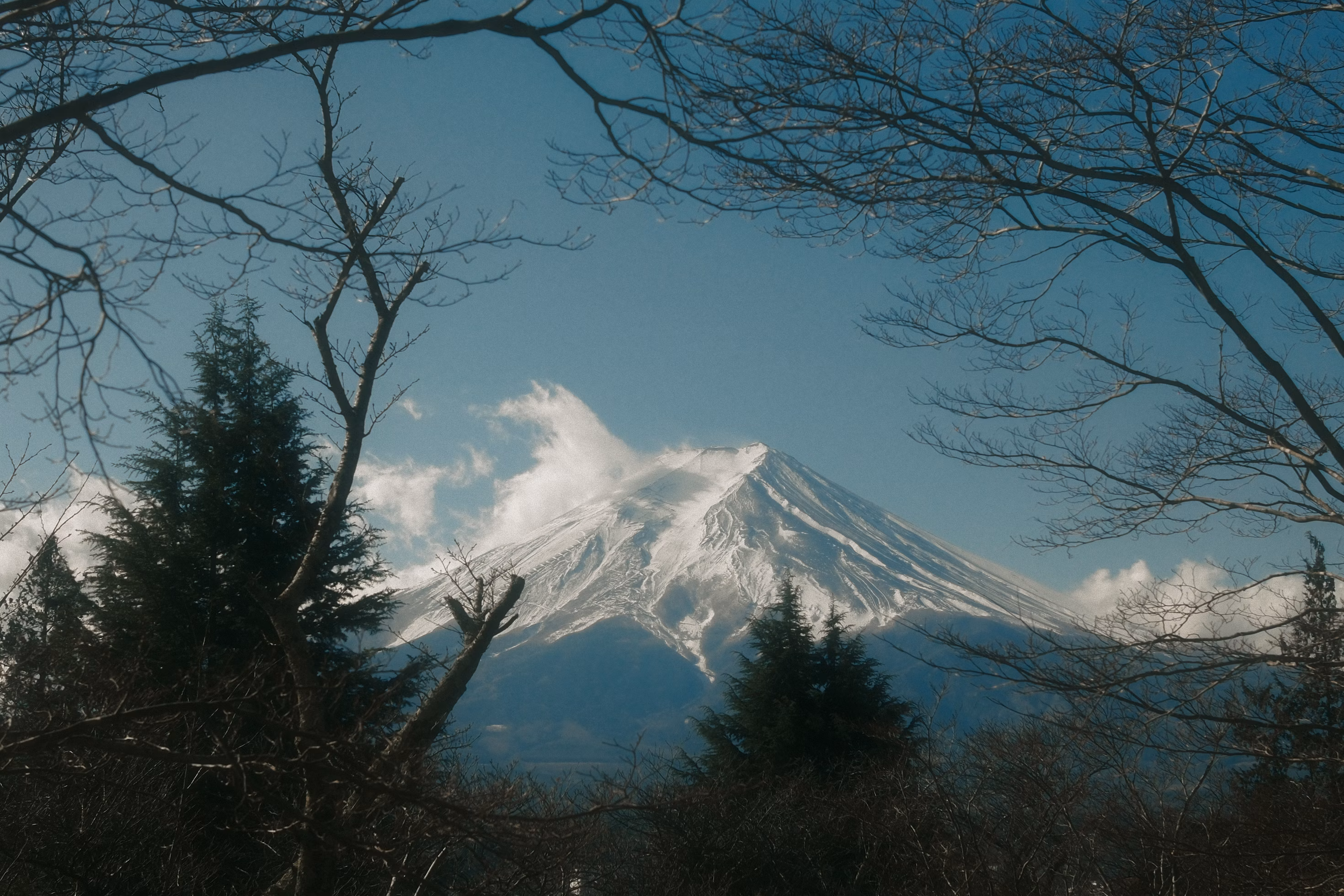 Góra Fuji